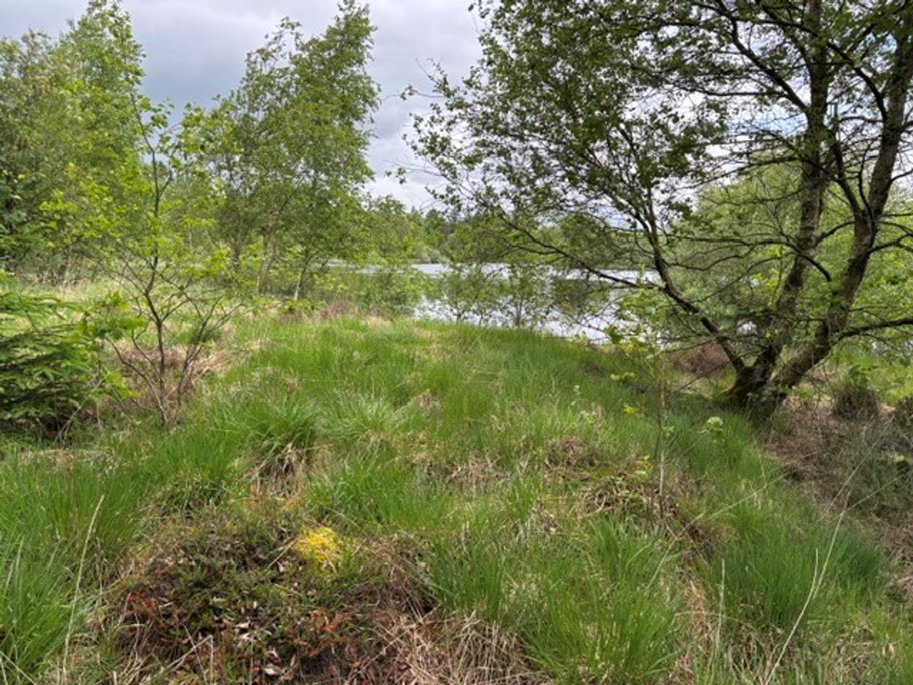 image 04